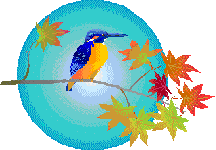 Cathmar Cottages - Swaziland Accommodation - Self catering cottages Mbabane - Mbabane Accommodation