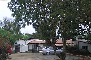 Wooden Chalet - Self Catering Mbabane - Cathmar Cottages - Swaziland Accommodation - Self catering cottages Mbabane - Mbabane Accommodation