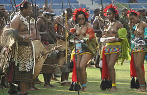 Reed dance