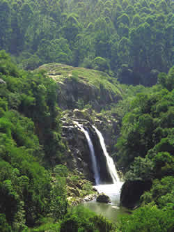 eSwatini (Swaziland) Mantenga Falls Mantenga Nature Reserve
